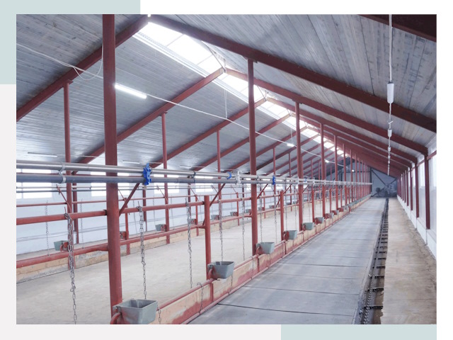 Строительство коровников в Павлове от 608 руб.