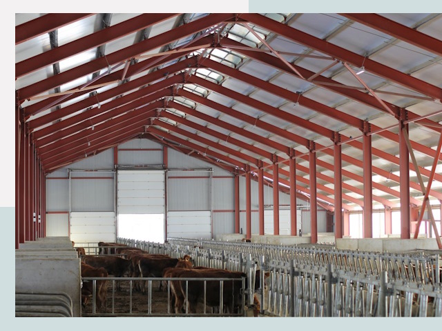 Строительство коровников в Павлове