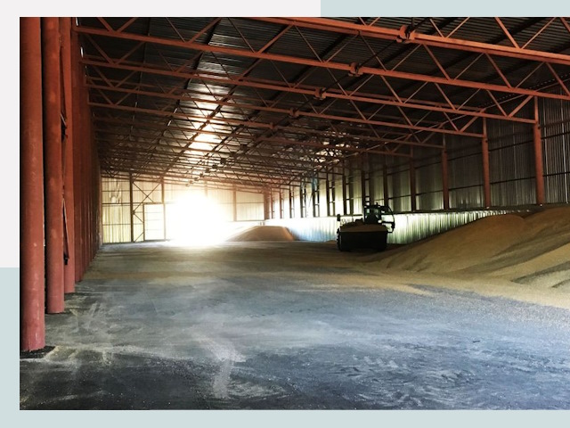 Строительство зернохранилищ в Павлове