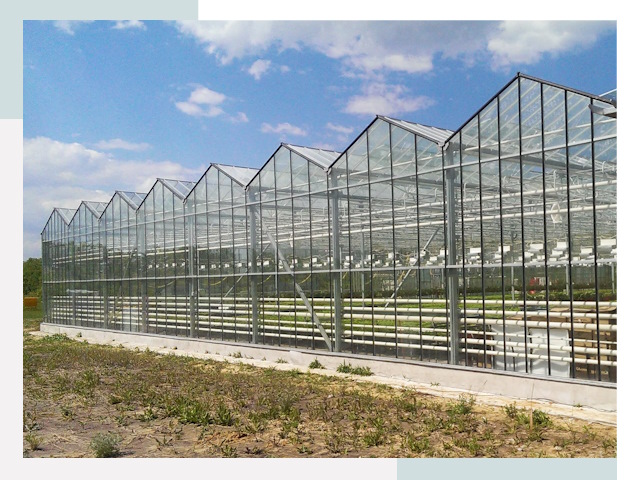 Строительство теплиц в Павлово от 608 руб. за м²